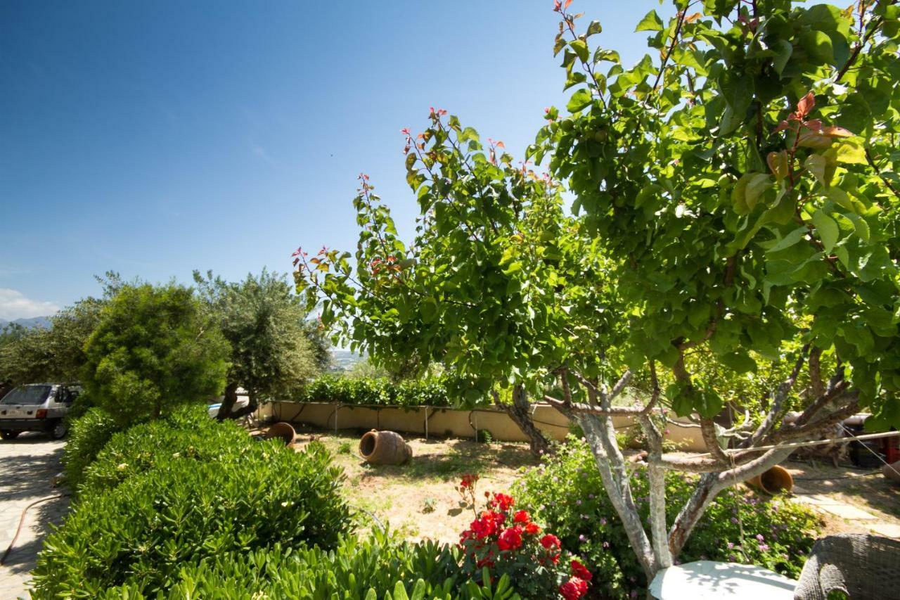 Smaragdas Sunny Home Ierápetra Dış mekan fotoğraf